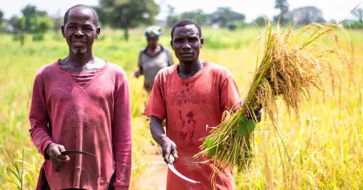 Agriculture Durable : Avantages et Inconvénients Expliqués