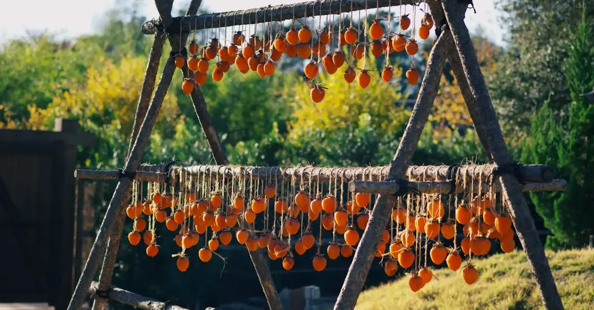 Exemples d'agriculture durable : pratiques et innovations