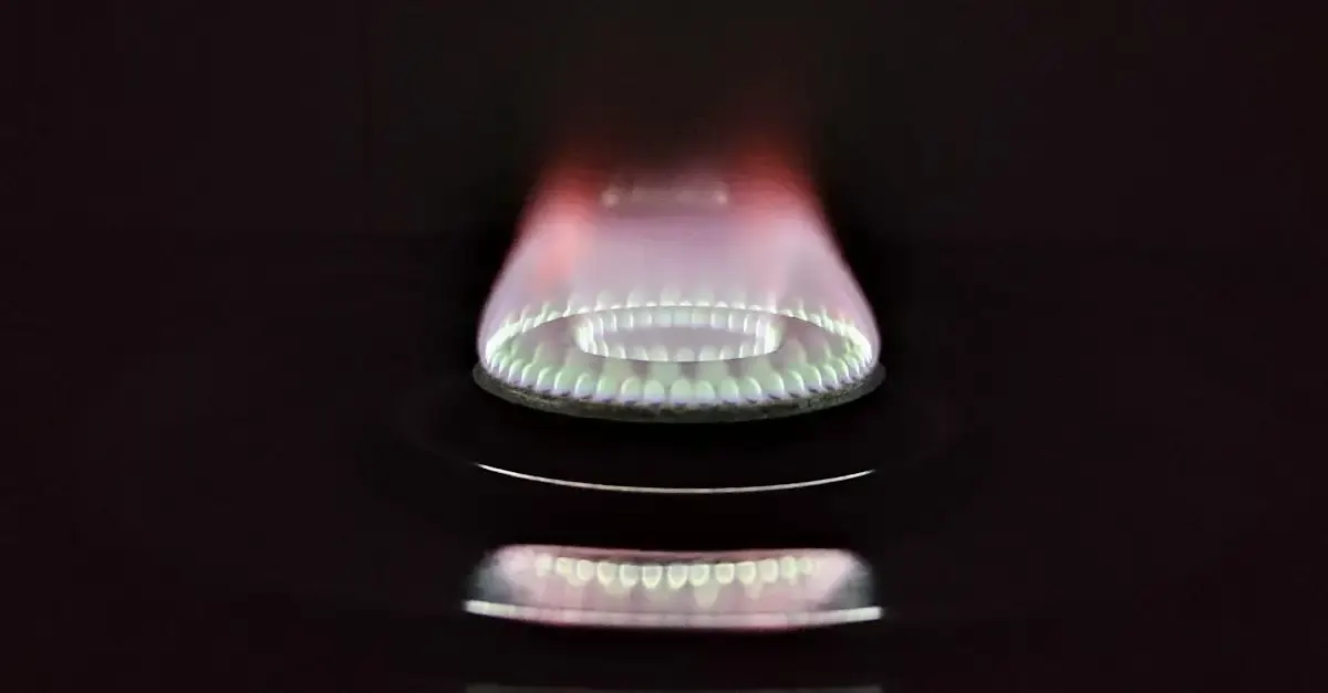 Avantages du gaz durable : énergie propre et transition