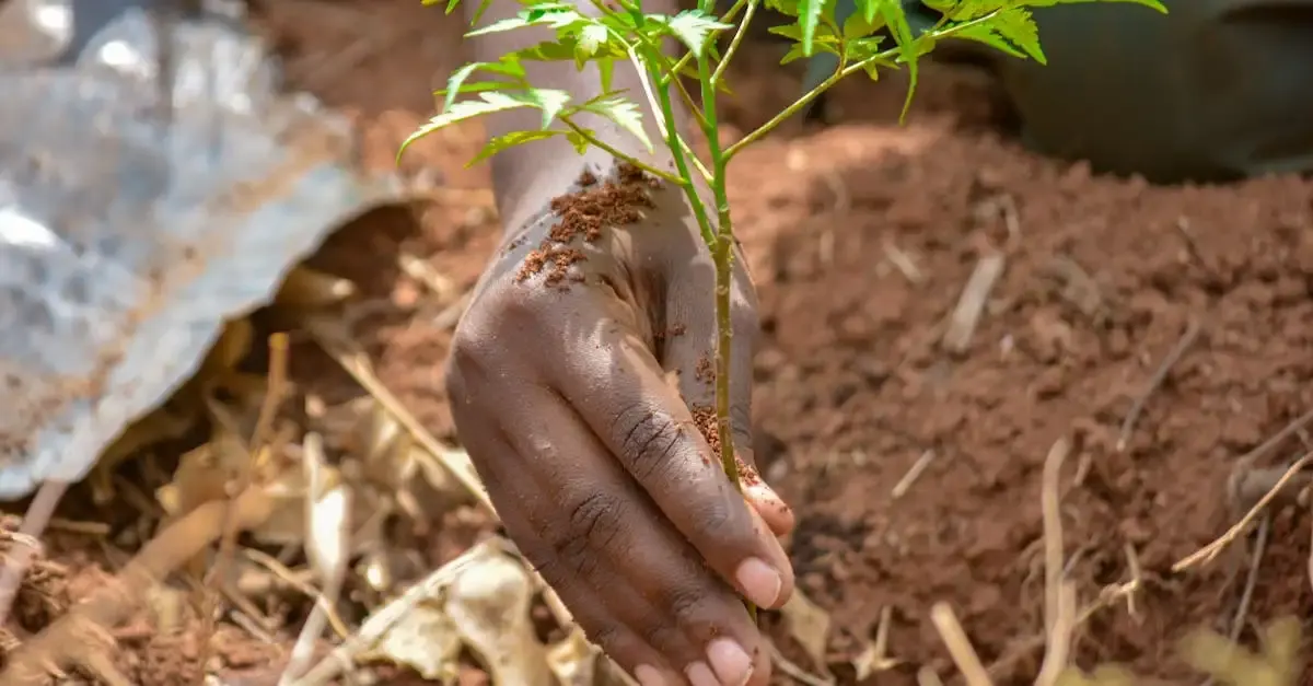 Biodiversité et développement durable : enjeux et solutions