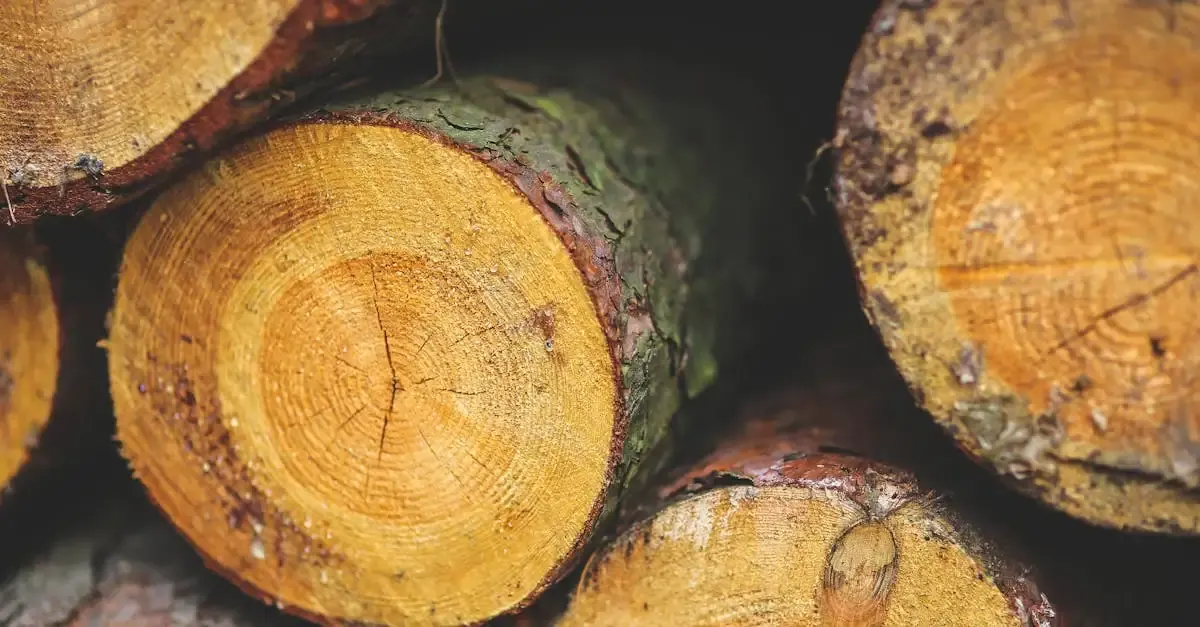 Bois issu de forêts gérées durablement : notre engagement