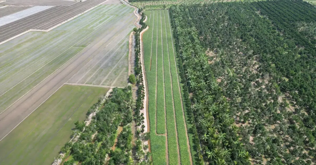 Agriculture Durable : Techniques et Bonnes Pratiques