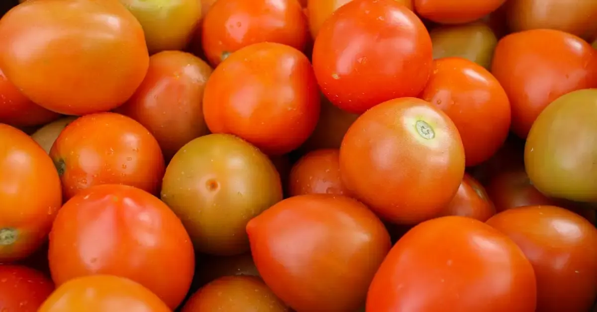 Association alimentation durable
