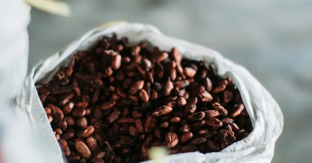 Cacao Durable : Découvrez Nos Engagements Éthiques