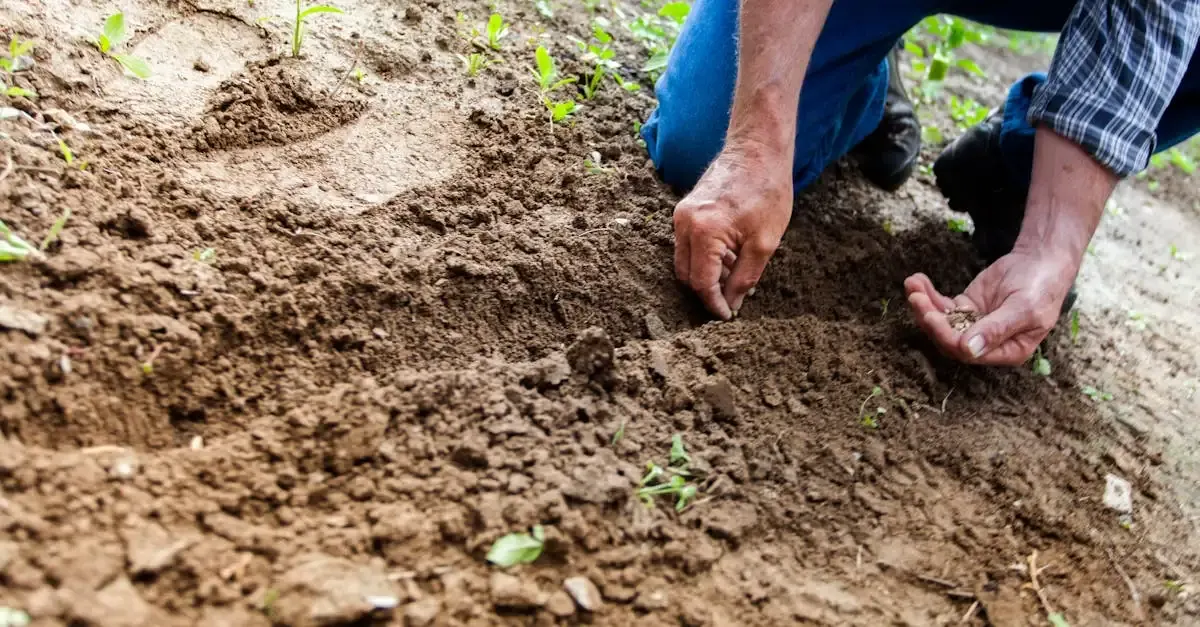 Carré Potager Durable : Cultivez Bio Facilement