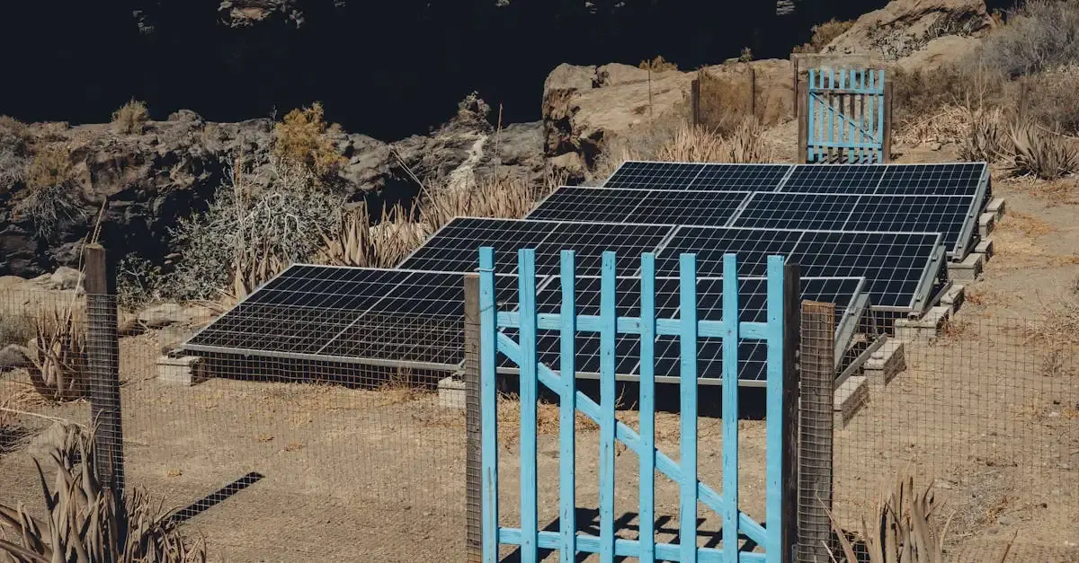 Clôture Durable : Solutions Écologiques et Longévité