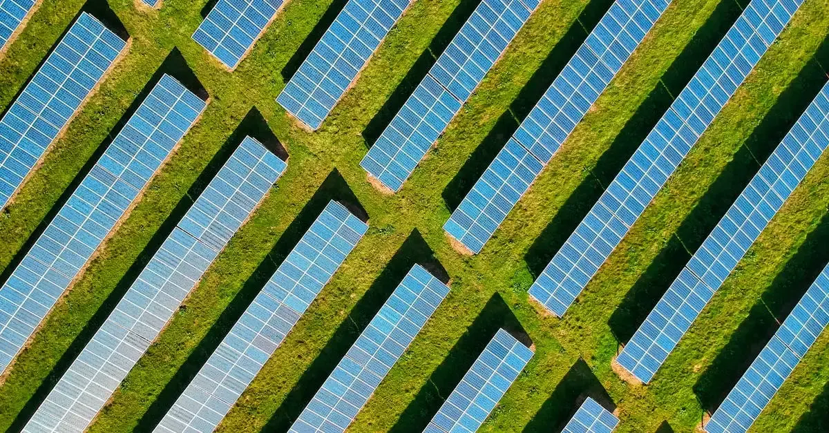 Concevoir un paysage durable et écologique pour votre espace