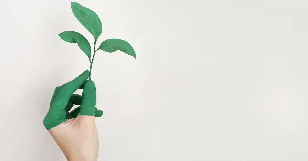 Developpement durable