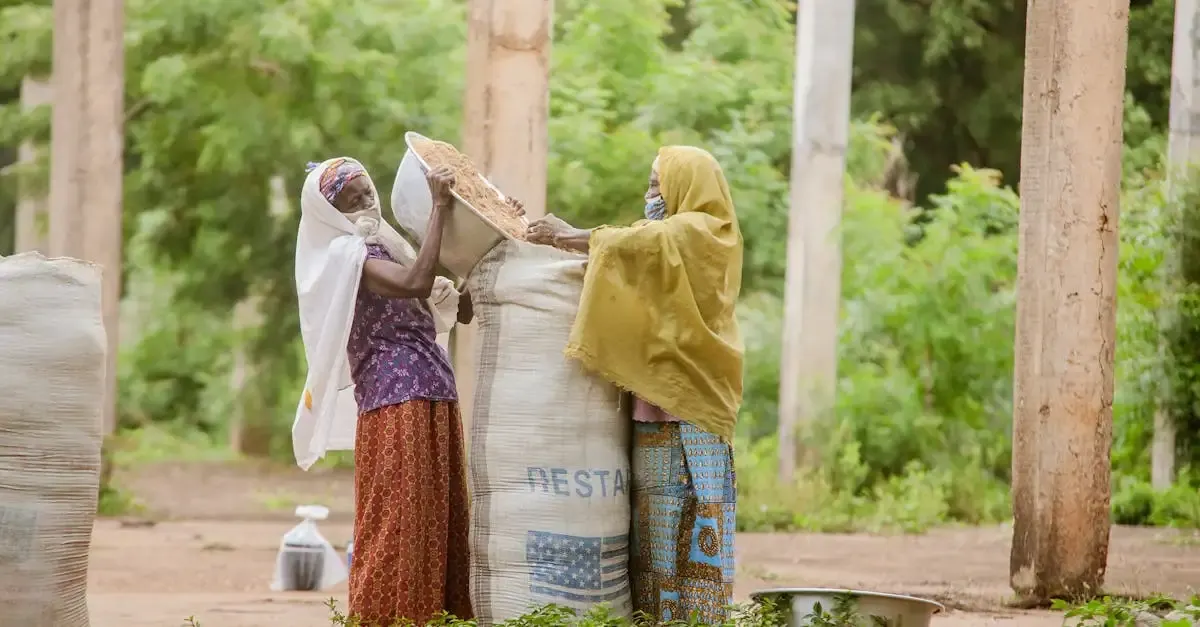 Développement durable les 3 piliers