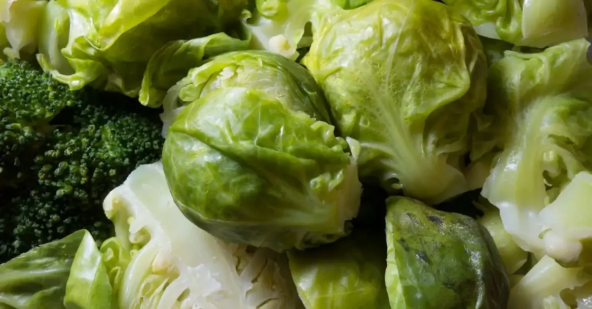 Formation alimentation durable bruxelles