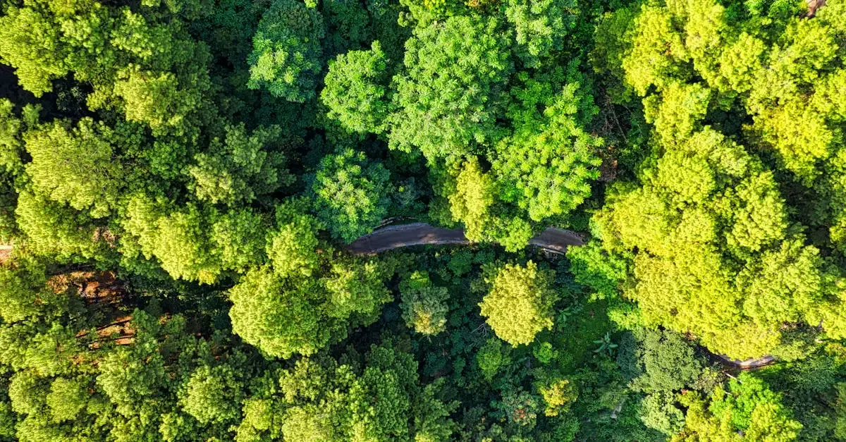 Habitat durable guichen