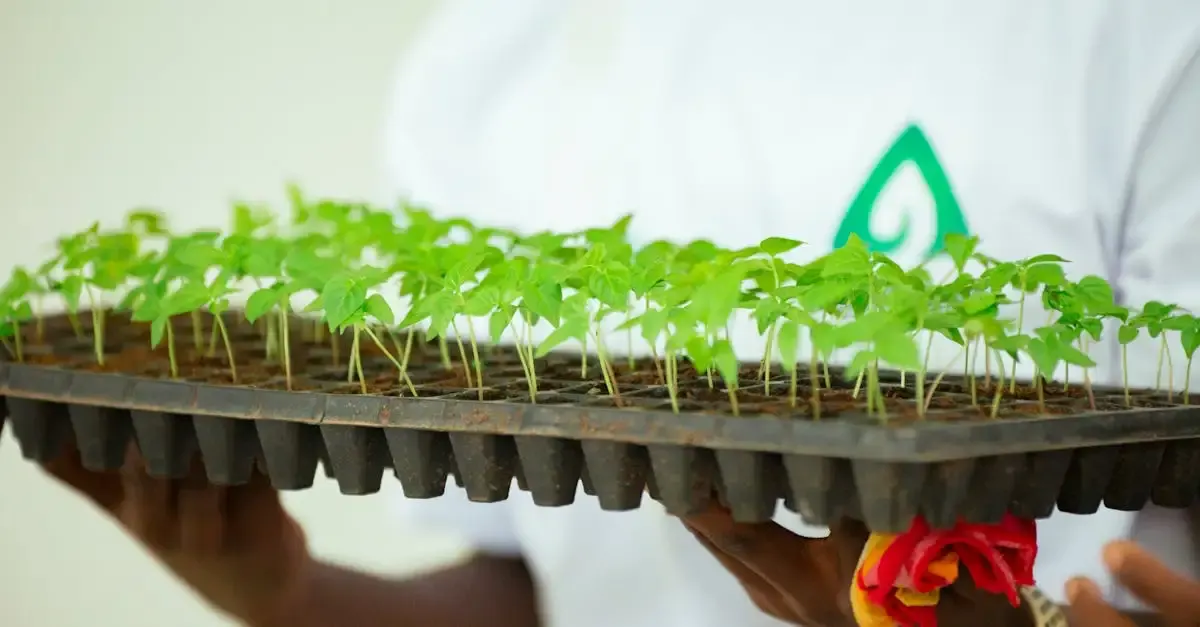 L'Oréal : Stratégies et engagements pour le développement