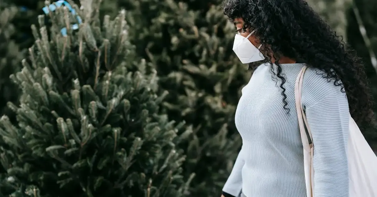 Sapin de Noël durable : Guide pour un choix écologique