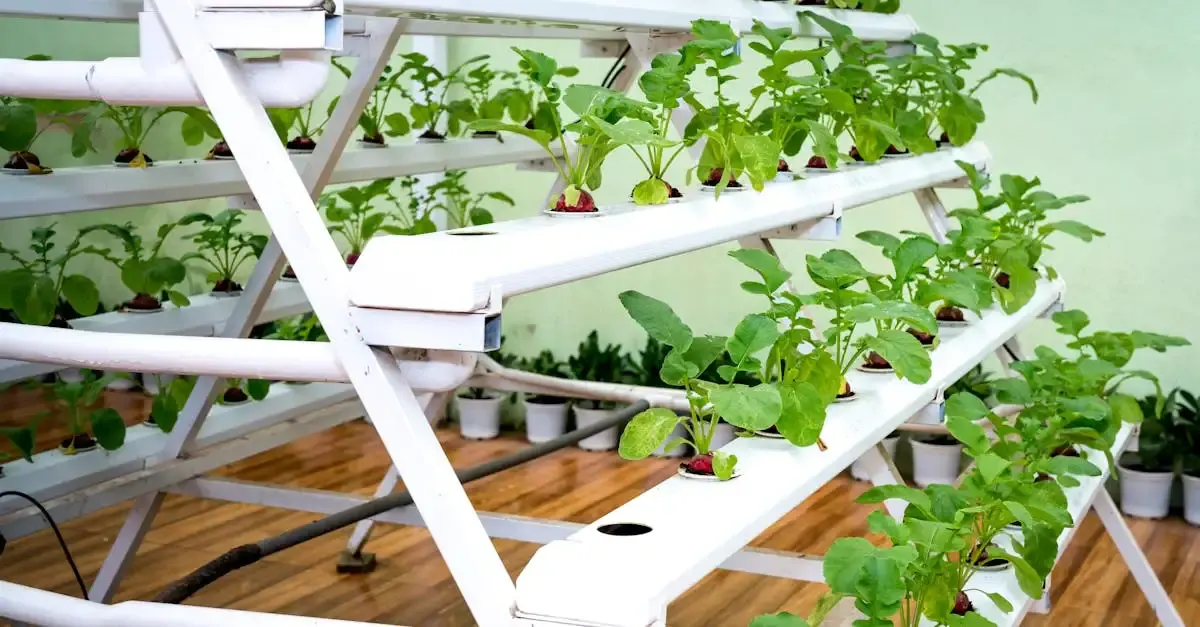 Vitagora alimentation durable