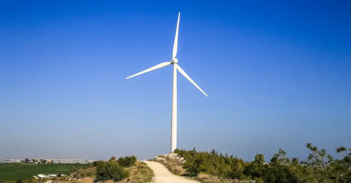 Concevoir un paysage durable et écologique pour votre espace