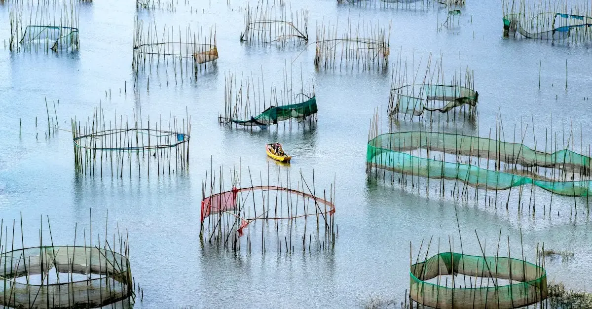 Pêche Durable : Définition et Principes Clés