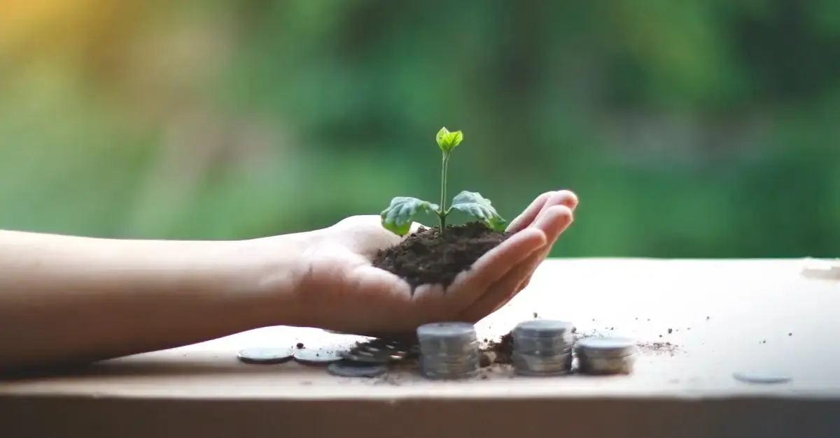 Placement Développement Durable : Investir pour l'avenir