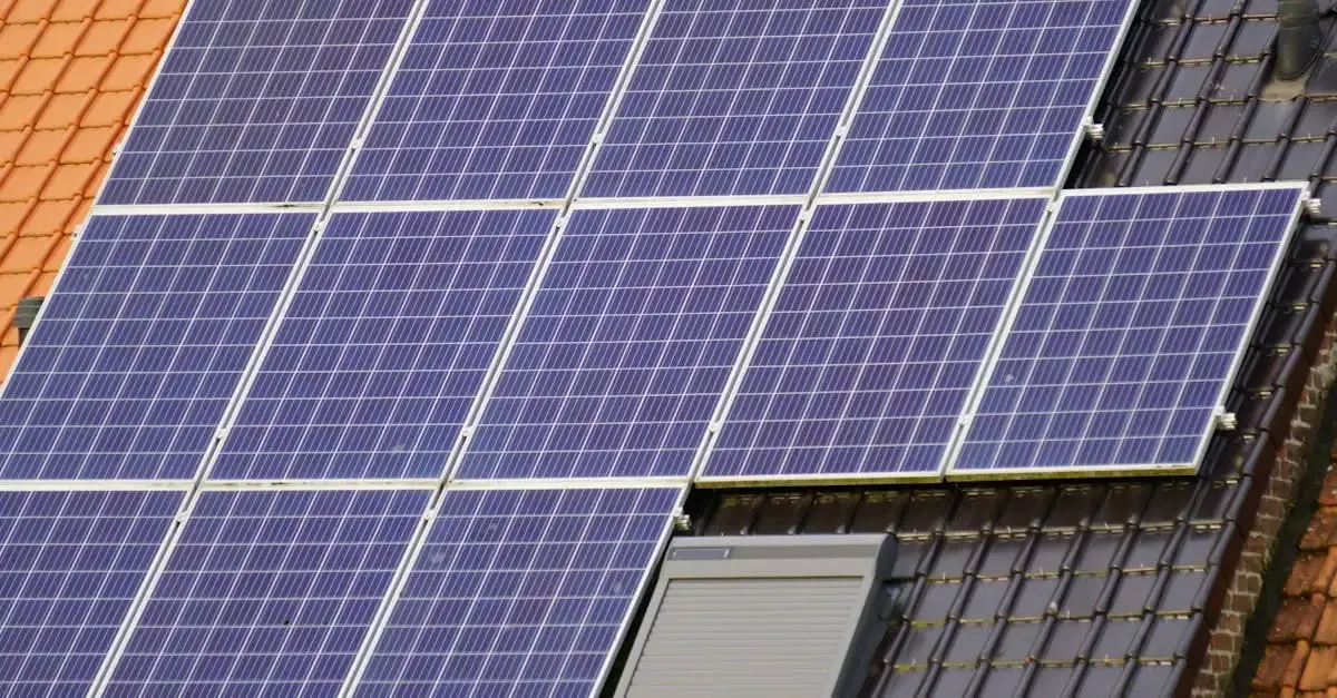 Univert Durable : Solutions Écologiques pour un Avenir Vert